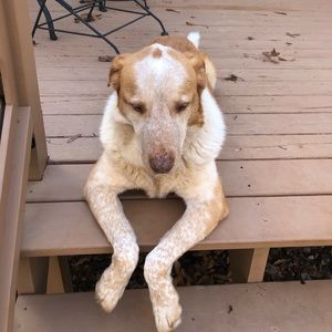 Meet your Posher, Sam